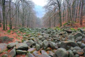 Felsenmeer im Lautertal